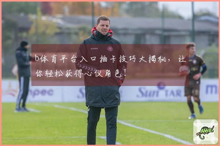 b体育平台入口抽卡技巧大揭秘，让你轻松获得心仪角色！