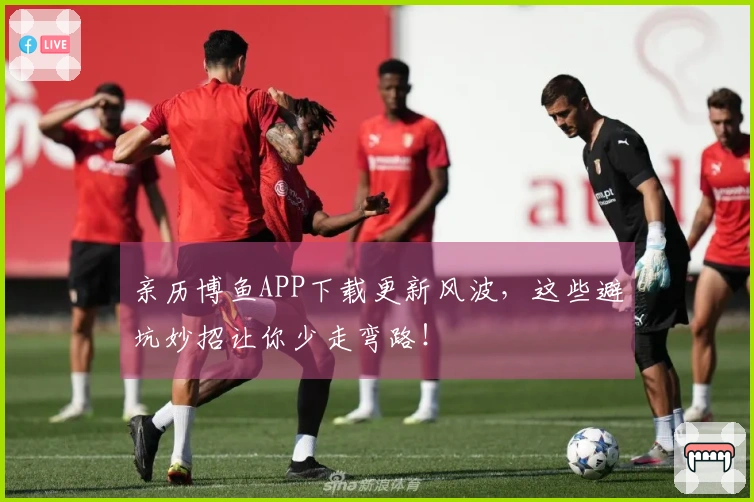 亲历博鱼APP下载更新风波，这些避坑妙招让你少走弯路！