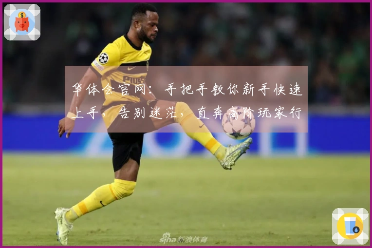 华体会官网：手把手教你新手快速上手，告别迷茫，直奔高阶玩家行列